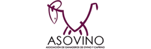 asovino